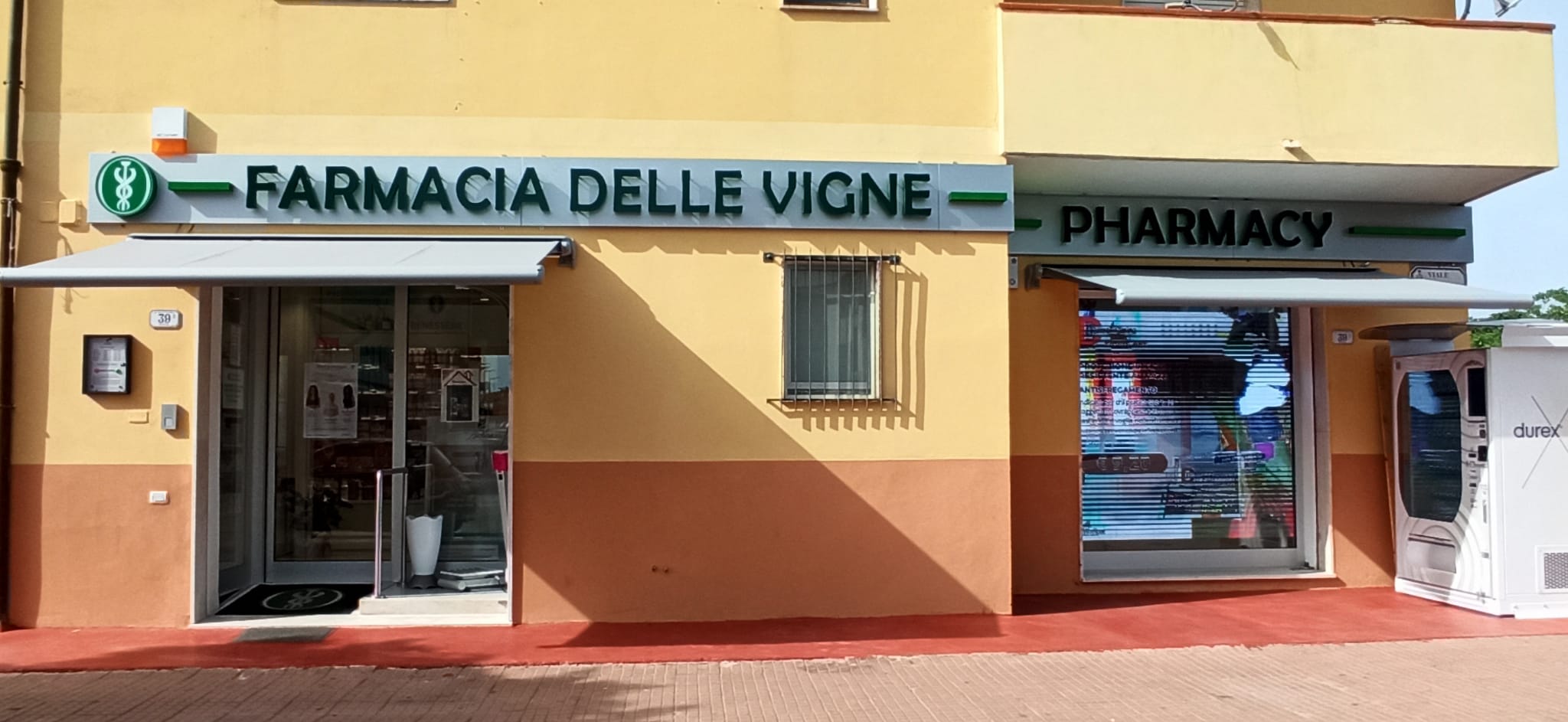 Immagine 1 di 4