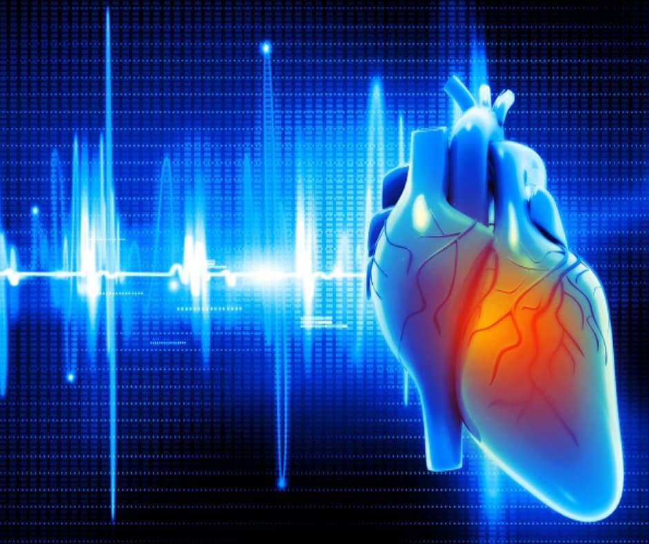 Servizio ECG