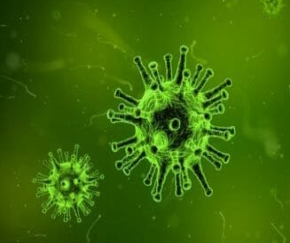 Servizio Proteina C Reattiva (PCR)