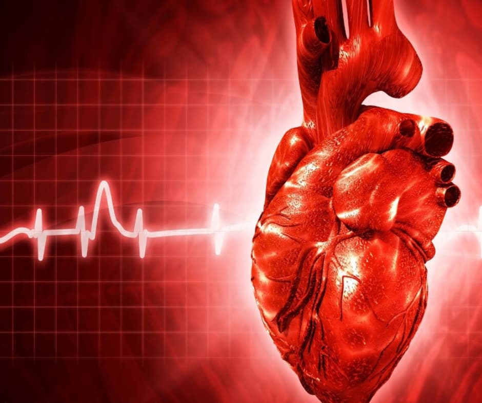 Servizio Holter Cardiaco